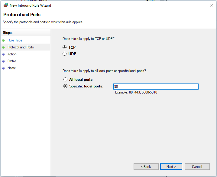 Enter 80 in Specific local ports